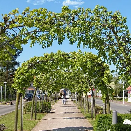 Seepferdchen * Baabe